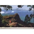 Spain Postcard 1970 - Pinar De Tamadaba, Gran C...