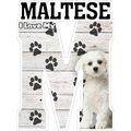 I Love My Maltese Fridge Magnet