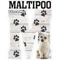 I Love My Maltipoo Fridge Magnet