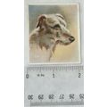 1939 Godfrey Phillips Our Dogs No. 22 The Deerhound