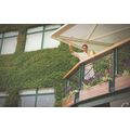 Roger Federer Wimbledon Tennis Centre Court Bal...