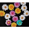 New. Daisy white wood buttons for cardmaking, s...