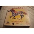 SEDONA GALLOP 800 SHAPED PIECE PUZZLE MOSTLY SE...