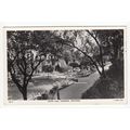 Town Hall Gardens Croydon Postcard 1957 RP Surrey