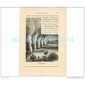 VICTORIA FALLS, ZAMBIA, AFRICA, Book Illustrati...