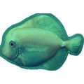 11" Tropical Surgeonfish