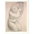 Pablo Picasso Woman combing her hair Postcard u...