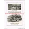 Canadian and Australian Scenes, Book Illustrati...