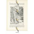 Val Di Chiana, Map, Italy, Book Illustration (P...