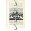 Florence, Duomo & Palazzo Vecchio, Italy, Book ...