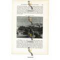 Roman Campagna, Italy, Book Illustration (Print...