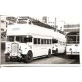 Black & White Photo of Southern National Omnibu...