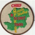 Scout Badge UK Chief Scout Visit - Middle Wallo...