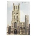 ELY CATHEDRAL ,unused modern postcard photo by ...