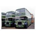 pu2112 - IOW Southern Vectis Bus Heritage Fleet...