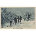 Winter Im Thuringer Wald Switzerland Old Skiing...