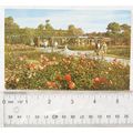 old postcard Fort Rose Gardens, Southsea ref1