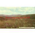 Heather Time on Exmoor, Somerset, Postcard