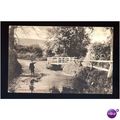 Worcestershire TENBURY Greete Brook Postcard by...