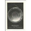 Staffordshire BUSHBURY CHURCH Coffin Paten Post...