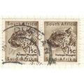 South Africa 1961 - 1½c brown - Panthera pardus...