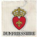 Scout Badge Scotland Pre 1967?? - Dumfriesshire...
