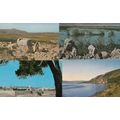 Jerusalem From Kidron Valley Papyrus Plants 4x ...