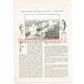Port Said, Egypt, Victorian Book Illustration, ...