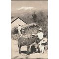 Alrededores del Ixtlaccihuatl, c.1930s - Yáñez ...