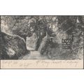 Cockington Lane, Torquay, Devon, 1903 - Frith's...