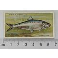 1933 Players Fresh-water Fishes, pink back No. ...