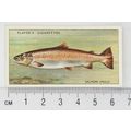 1933 Players Fresh-water Fishes, pink back No. ...