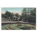 The Arboretum Nottingham Postcard 1906 Clumber ...