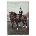 Driver Army Service Corps & Draught Horses Postcard EFA Military Series