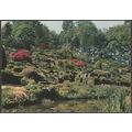 The Rock Garden, RHS Gardens, Wisley, Surrey, c...