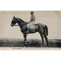 Hautbois La France Chevaline 1907 Race Horse An...