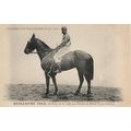 Guillaume Tell La France Chevaline 1906 Race Ho...