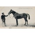 Heros La France Chevaline 1907 Race Horse Antiq...