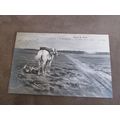 ND Photo Postcard - Napoleon / Napoleonic Wars ...