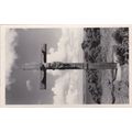 B854 CALDEY. RP POSTCARD