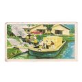 2 x ISLAND OF CEYLON series tea cards by CEYLON...