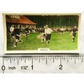 1924 Cavanders Homeland Series No. 34 Hockey
