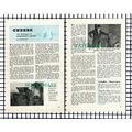 (7610) Wensleydale Cheese Industry Peacock Calv...