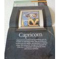 Sagittarus & Capricorn Zodiac Cross Stitch Char...