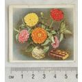 1937 Godfrey Phillips Flower Studies No. 21