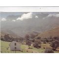 Cape Province South Africa Postcard unused VGC