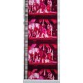 ALICE COOPER. Pk MTP - B039m . 1 STRIP OF 5 - 3...