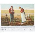 1904 postcard Dutch Farmers