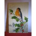 A CHRISTMAS ROBIN unused SWISS postcard #