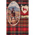 R055888 The Clan Ogilvie. Valentine. Artotype